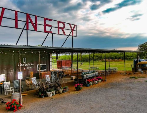 Corona Cooking Chronicles: Spirit of Texas Winery Edition