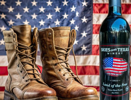 Land of the Free: A Tribute to Our Heroes